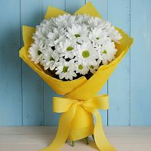 Букет цветов из:  Хризантемы #REPLACE_PRED# Солнечнодольске