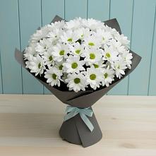 Букет цветов из:  Хризантемы #REPLACE_PRED# Солнечнодольске