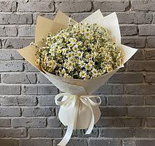Букет цветов из:  Ромашки в Солнечнодольске