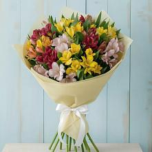 Букет цветов из:  Альстромерии в Солнечнодольске