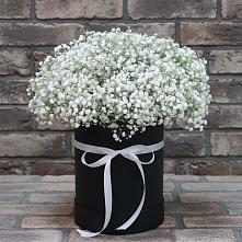 Цветочная композиция из Гипсофила в шляпной коробке в Солнечнодольске