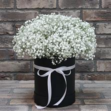 Цветочная композиция из Гипсофила в шляпной коробке в Солнечнодольске
