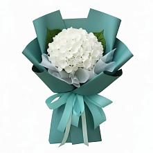 Букет цветов из:  Гортензия в Солнечнодольске